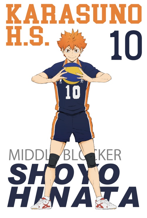 Rakuwaブレスs ハイキュー モデル 烏野高校 日向翔陽 17cm