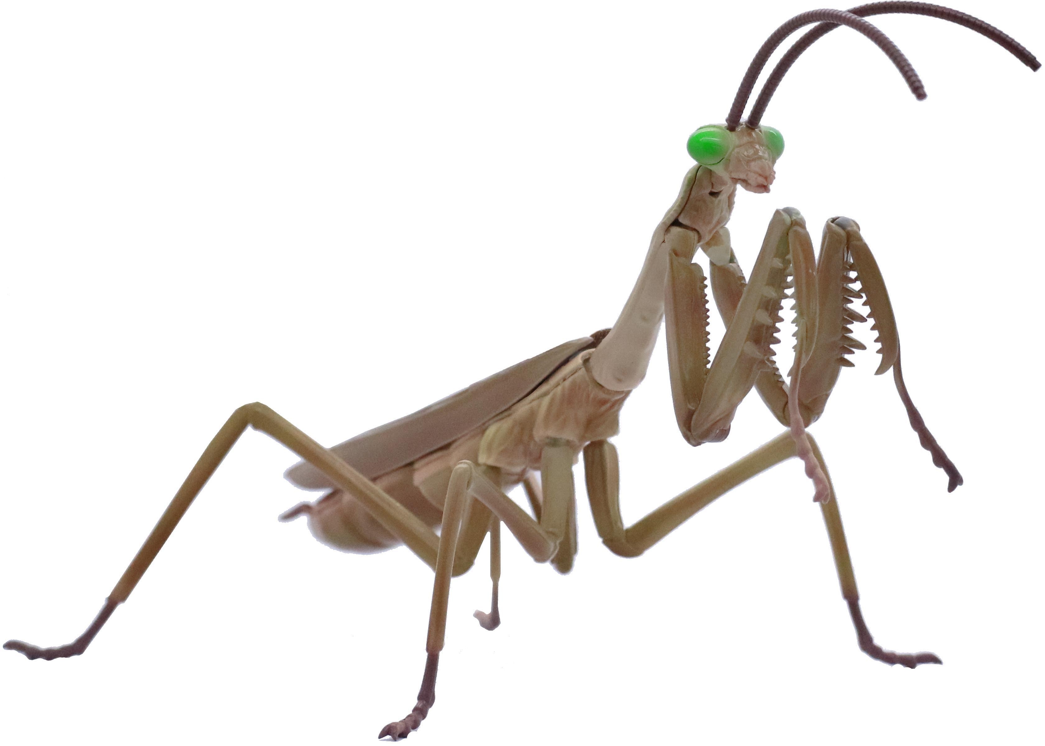 Toys & Hobbies Toy Models & Kits Japanese Giant Fujimi 170824 Living