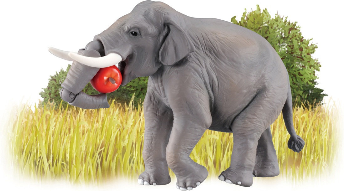 197円 大勧め アニア As 33 アジアゾウ